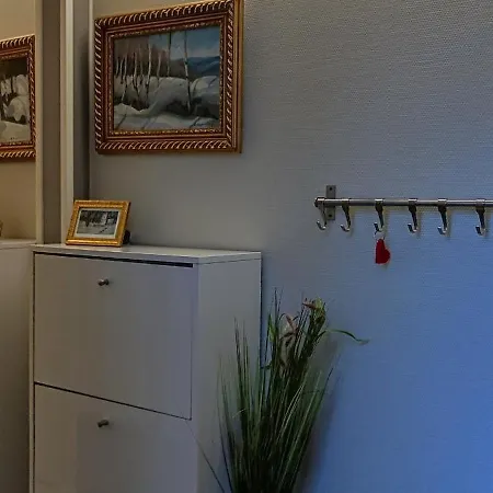 Kodikas Yksioe Omalla Sisaeaenkaeynnillae Ja Pysaekoeinnillae Järvenpää