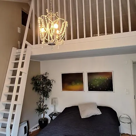 Apartman Kodikas Yksioe Omalla Sisaeaenkaeynnillae Ja Pysaekoeinnillae *